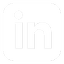 linkedin icon