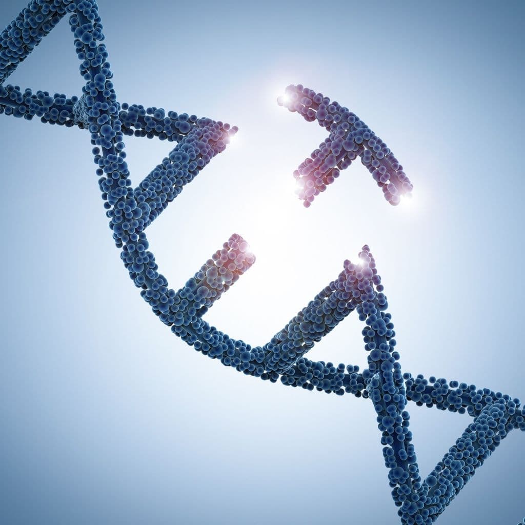dna sequence being removed