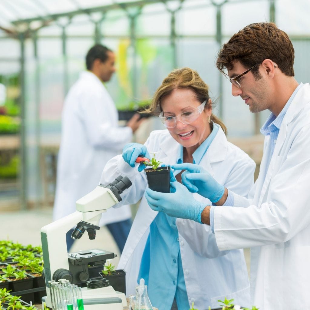 a woman and a man in lab coats checking a potted plants